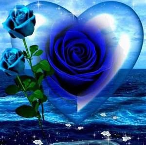 Meet your Posher, Lina